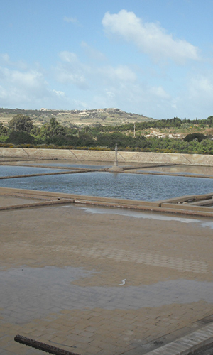 Salini (Salt Pans) Rehabilitation Project